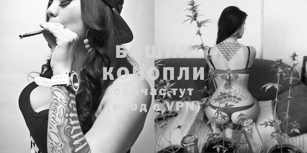 ешки Михайлов