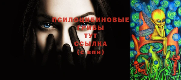 ешки Михайлов