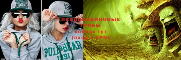 ешки Михайлов