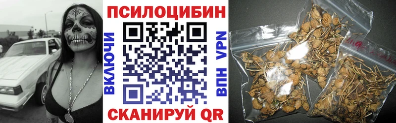 Галлюциногенные грибы Psilocybine cubensis мега зеркало Ладушкин